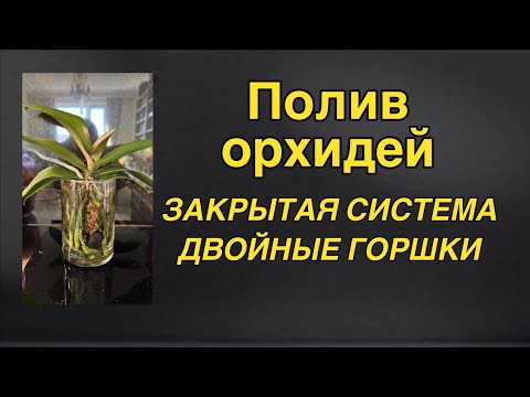 Видео: Секреты здоровых корней в ЗАКРЫТОЙ СИСТЕМЕ 🔥🌸
