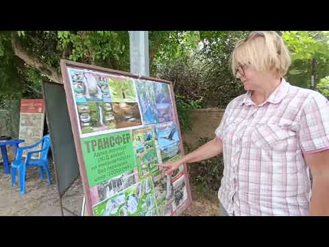 Видео: Абхазия Пицунда Лдзаа день #1 ориентирование на местности Рыбзаводская Нозадзе центральный пляж