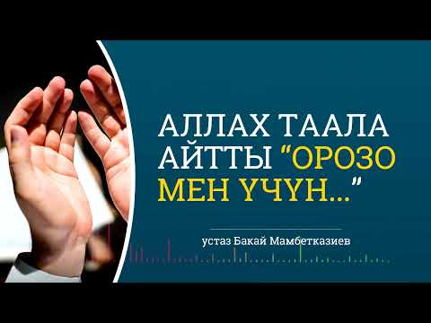 Видео: #ОРОЗО КАРМАГАН АДАМДЫ КАНДАЙ #СООП ЖАКШЫЛЫКТАР КҮТҮП ТУРАТ