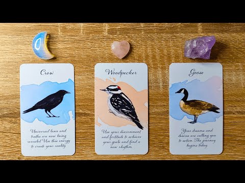 Видео: ✨ЗАХВАТЫВАЮЩИЕ НОВОСТИ ОТ ВАШЕГО БУДУЩЕГО Я! 🤩📩🌟 Выберите карту 🔮✨ Вечное гадание на картах Таро