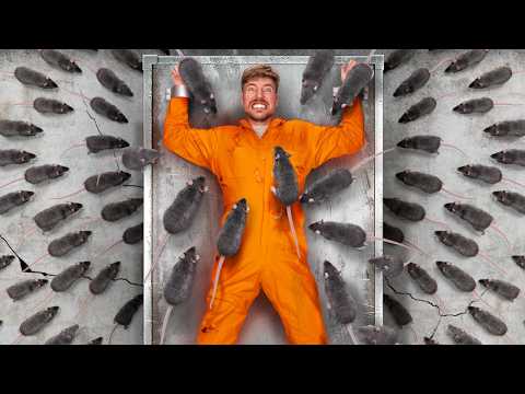 Видео: Взгляни в Лицо Своему Страху, Чтобы Выиграть $800,000