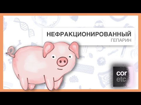 Видео: Как работает Нефракционированный гепарин (НФГ)?