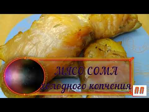 Видео: МЯСО СОМА холодного копчения в коптильне москит