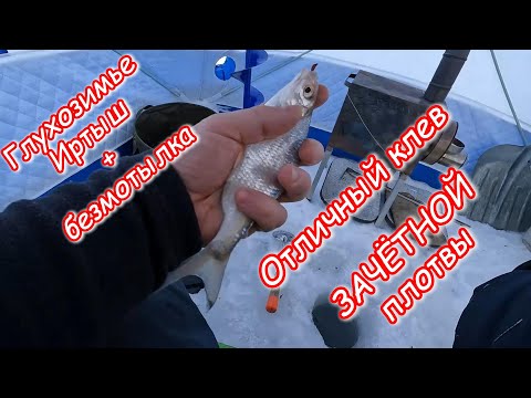 Видео: Глухозимье Иртыш + безмотылка Отличный клев ЗАЧЁТНОЙ Плотвы💪