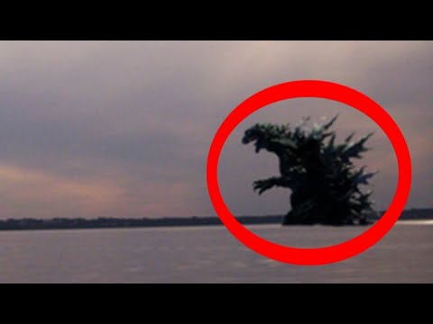 Видео: ТОП 10 ГОДЗИЛЛ Заснятых На КАМЕРУ Очевидцами