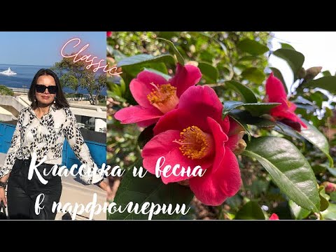 Видео: Классические и очень весенние ароматы.