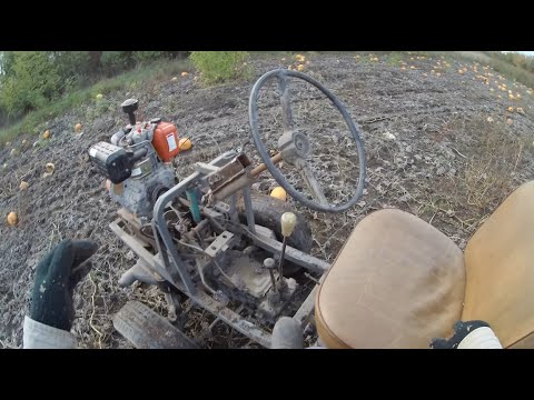 Видео: Сусід в шоці з мого тракторцю з луаз. вожу кабаки (гарбузи). #саморобний #мінітрактор #луаз