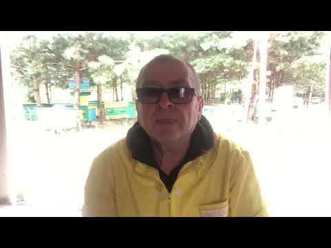 Видео: АКАРАПИДОЗ МЕДОНОСНЫХ ПЧЁЛ.