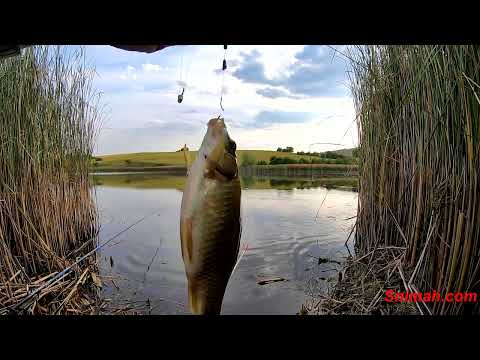 Видео: Излет на язовир Брезнишки извор