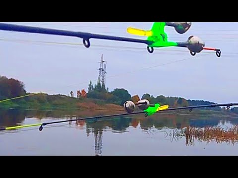 Видео: ЛОВЛЯ  КРУПНОГО ЛЕЩА НА РЕКЕ ОСЕНЬЮ .РЫБАЛКА НИЖЕ ВОЛХОВСКОЙ ГЭС . ФИДЕР . В ПРИЛОВЕ СУДАК .