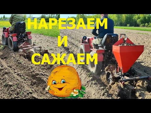 Видео: Нарезка борозд, посадка картофеля 2023