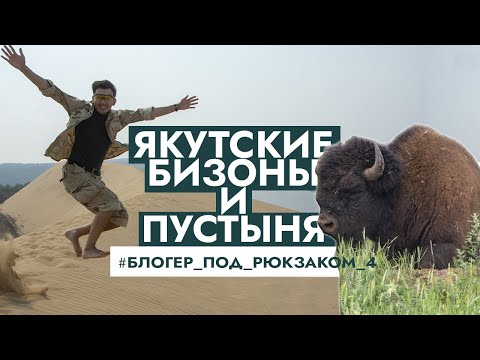 Видео: Тукуланы, бизонарий Усть-Буотама и ледник Булуус - Блогер под рюкзаком в Якутии, 4 часть