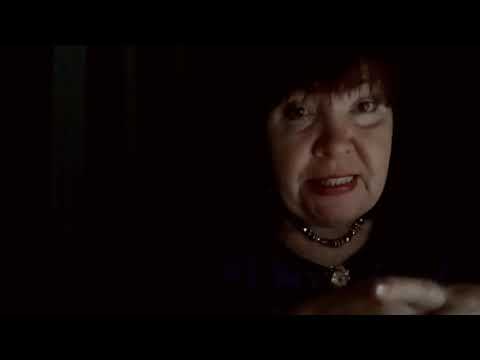 Видео: ДОМАШНИЕ ПРИЗРАКИ .