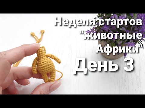 Видео: Неделя стартов "животные Африки"//День 3 -  маленький карманный жирафик// #животныеафрики_старты
