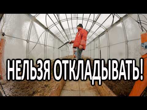 Видео: Готовим теплицу к новому сезону: спасаем растения от болезней и вредителей!