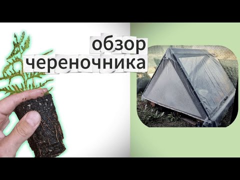Видео: Обзор череночника для домашних нужд и не только