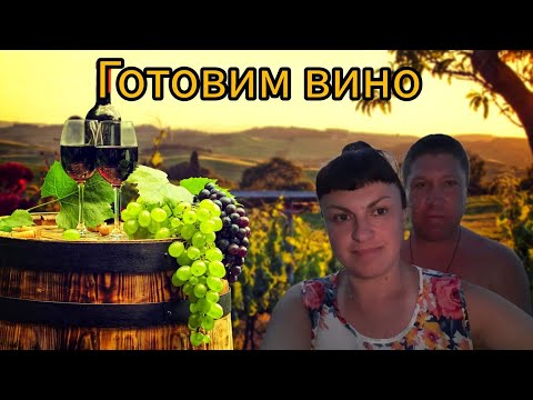 Видео: СКОЛЬКО САХАРА и ВОДЫ добавить при приготовлении 🍷 ДОМАШНЕГО ВИНА. Часть 2. ПРОДОЛЖЕНИЕ. 🍇🍇🍇