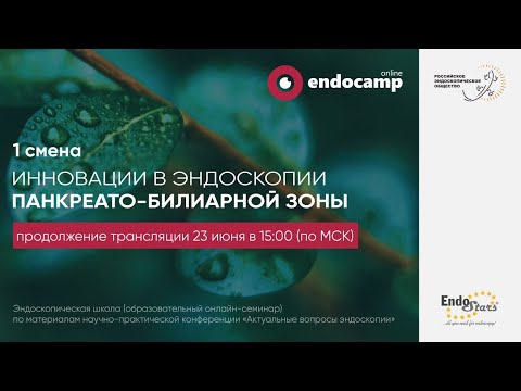 Видео: Инновации в эндоскопии панкреас-билиарной зоны. День 2