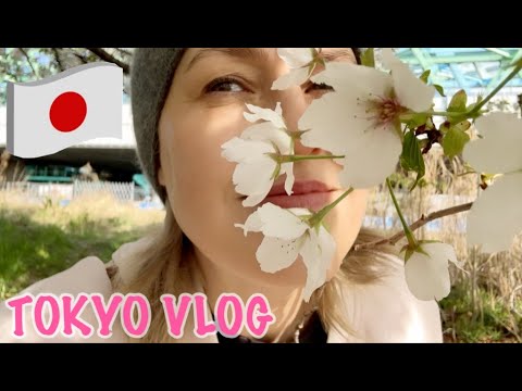 Видео: Tokyo Vlog. Сакура.