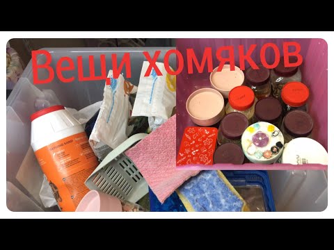 Видео: Хранение и обзор всех наших вещей для хомяков)