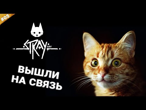 Видео: ВЫШЛИ НА СВЯЗЬ | Прохождение STRAY на русском языке | Часть 05