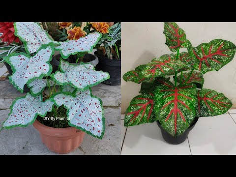 Видео: Как сделать растения Caladium Bicolor из полиэтиленового пакета | Цветочные поделки