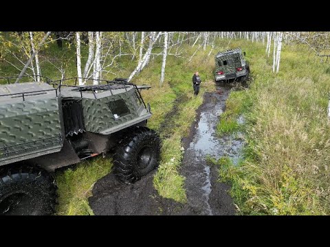 Видео: Ветер или Пилот: Кто Круче? Засадили Всех!