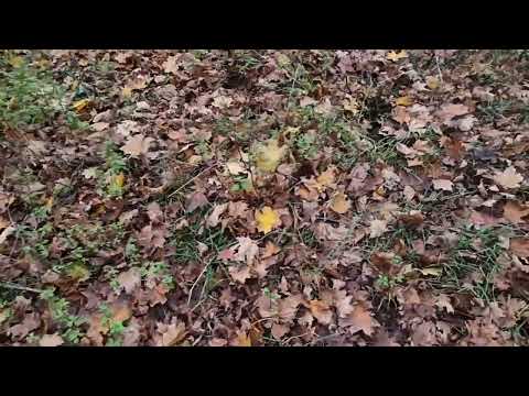 Видео: СКОЛЬКО СТОИТ!  ВЫЙТИ с ТЦК