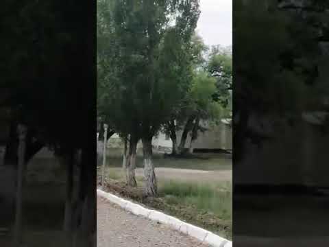 Видео: В, ч 2091