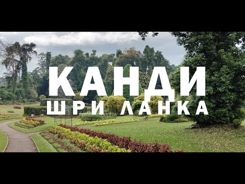 Видео: Шри Ланка / Канди - Ден Трети