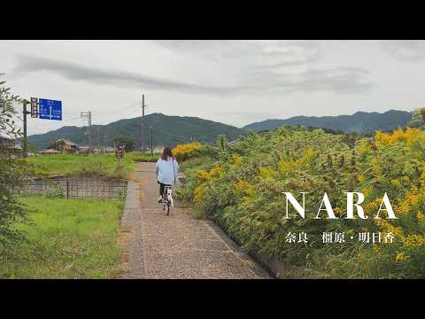 Видео: Побег к вечной красоте Нары 🍁 Касихара и деревня Асука 2 дня｜Путешествие по Японии Vlog