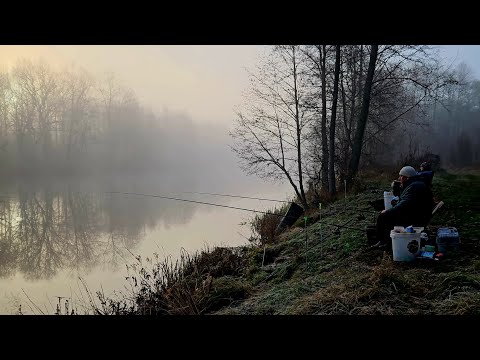 Видео: Возможно, Это Закрытие Сезона! Лещи в Ноябре на Реке! Рыбалка с Ночевкой. Лещ на Фидер  на Друти.