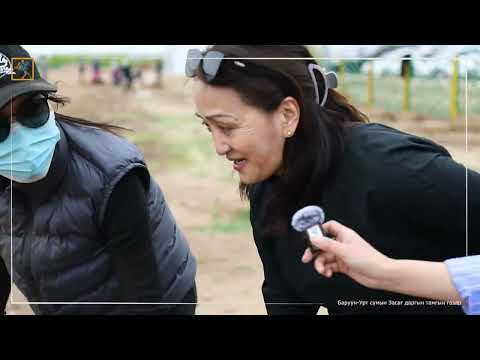 Видео: Улиас, Гүйлс, Буйлс гэсэн 200-н модыг “Талын наран” яруу найрагчдын талбайд тарилаа