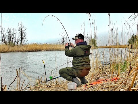 Видео: ТАКОЕ ВОЗМОЖНО!!!? ЗАБРОСИЛ ПОПЛАВОК И...! РУКИ ТРЯСУТСЯ ОТ ТАКИХ ДИКАРЕЙ.