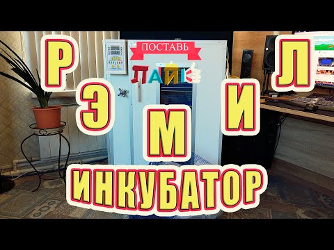 Видео: Инкубатор РЭМИЛ