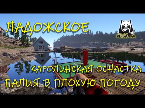 Видео: Русская рыбалка 4 (рр4). Озеро Ладожское. Каролинская оснастка. Палия.