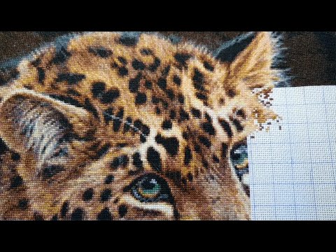 Видео: Вышивка и жизнь с 13 по 19 января 2025 г