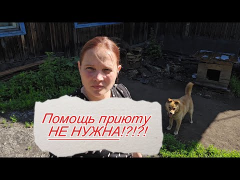 Видео: Два миллиона на собак?!?!