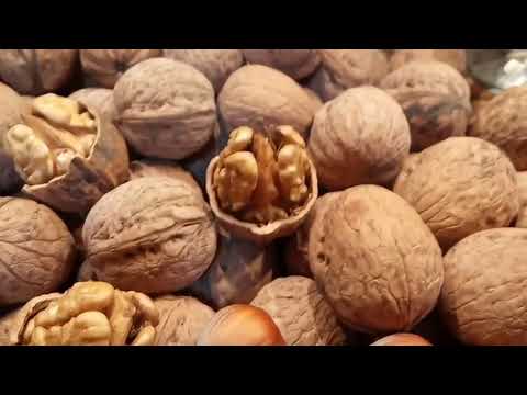 Видео: Грецкий орех Иван Багряный характеристики и описание. Видео, Фото. Walnuts Broker