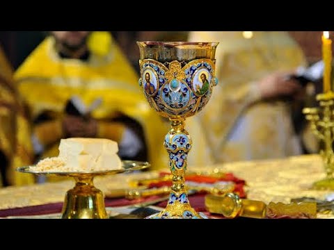 Видео: Литургия. 8 лекция. Проскомидия