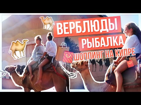 Видео: ВЕРБЛЮДЫ / РЫБАЛКА /ШОППИНГ НА КИПРЕ