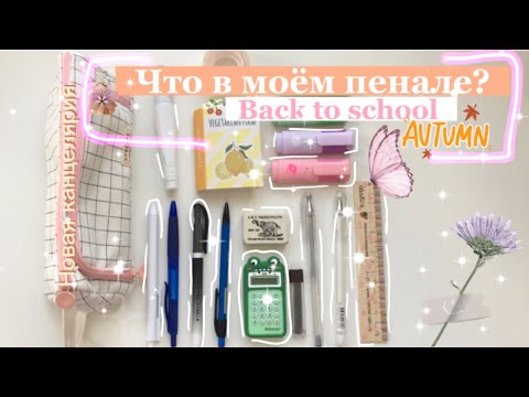 Видео: BACK TO SCHOOL 2022//Пенал в школу//Что в моём школьном пенале и рюкзаке?🏫✨