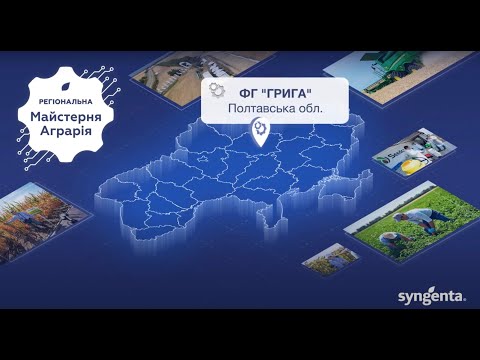 Видео: Огляд культур на демо полі ТОВ Сингента в ФГ Грига, Полтавська обл., 07.05.2025р.