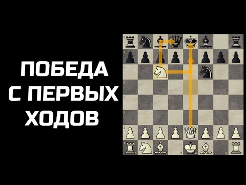 Видео: Как начинать партию в шахматы. Дебют для начинающих