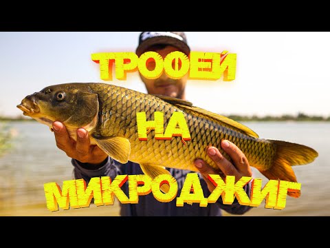 Видео: ЛУЧШАЯ рыбалка 👍👍👍 Трофей на МИКРОДЖИГ 💪 Вытянул МОНСТРА!!!