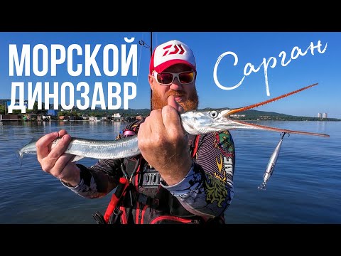 Видео: САРГАН. Морская рыбалка на стикбейты во Владивостоке, Японское море. #сарган