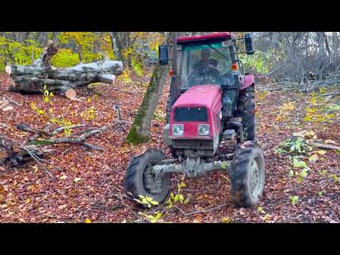 Видео: Тракторы в Лесу (Полный Часть)
