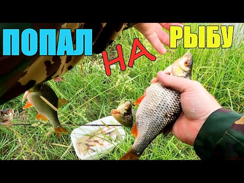 Видео: ЖЕСТЬ!!! Я его чуть поднял!!! Рыбалка на экраны.