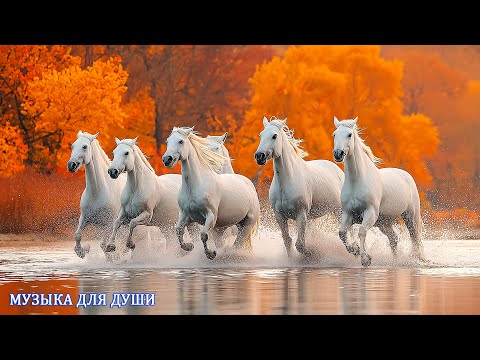 Видео: Музыка Для Души! Очень Мощная и Красивая Музыка! Потрясающий Трек Powerful and Inspiring Epic Music.