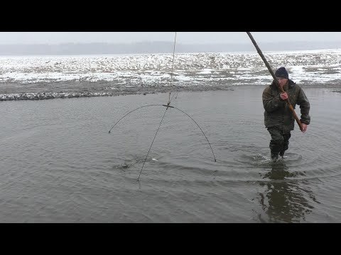 Видео: РЫБАЛКА НА ПАУК! Мне бы да на денёк раньше приехать! КАРПЫ, КАРАСИ!